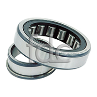 Quality Case Roller Bearing to Part Number 156151A1 supplied by FDCParts.com