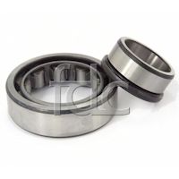 Quality Case Roller Bearing to Part Number 156156A1 supplied by FDCParts.com
