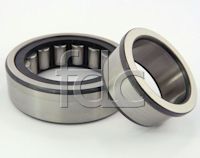 Quality Case Bearing to Part Number 47046158 supplied by FDCParts.com