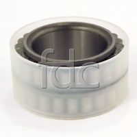 Quality Rexroth Roller Bearing to Part Number R916411722 supplied by FDCParts.com