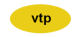 VTP Logo